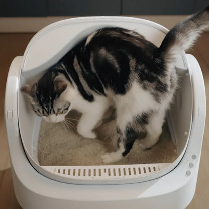 Petpivot Autoscooper 11 Open-Top Automatic Self-Cleaning Cat Litter Box, Limited-Time Extra 60 Waste Bags through July 2, 80 Total Bags