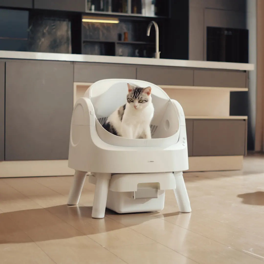 Petpivot Autoscooper 11 Open-Top Automatic Self-Cleaning Cat Litter Box, Limited-Time Extra 60 Waste Bags through July 2, 80 Total Bags