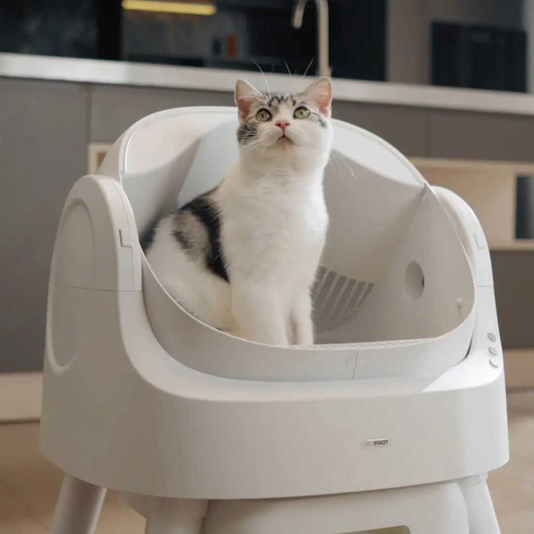 Petpivot Autoscooper 11 Open-Top Automatic Self-Cleaning Cat Litter Box, Limited-Time Extra 60 Waste Bags through July 2, 80 Total Bags