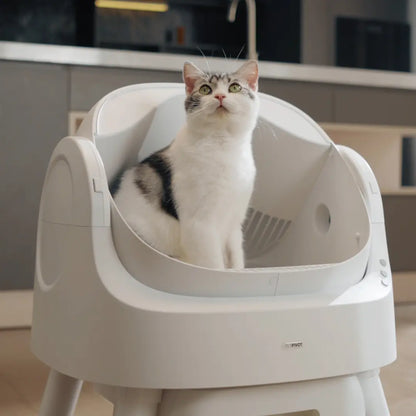 Petpivot Autoscooper 11 Open-Top Automatic Self-Cleaning Cat Litter Box, Limited-Time Extra 60 Waste Bags through July 2, 80 Total Bags