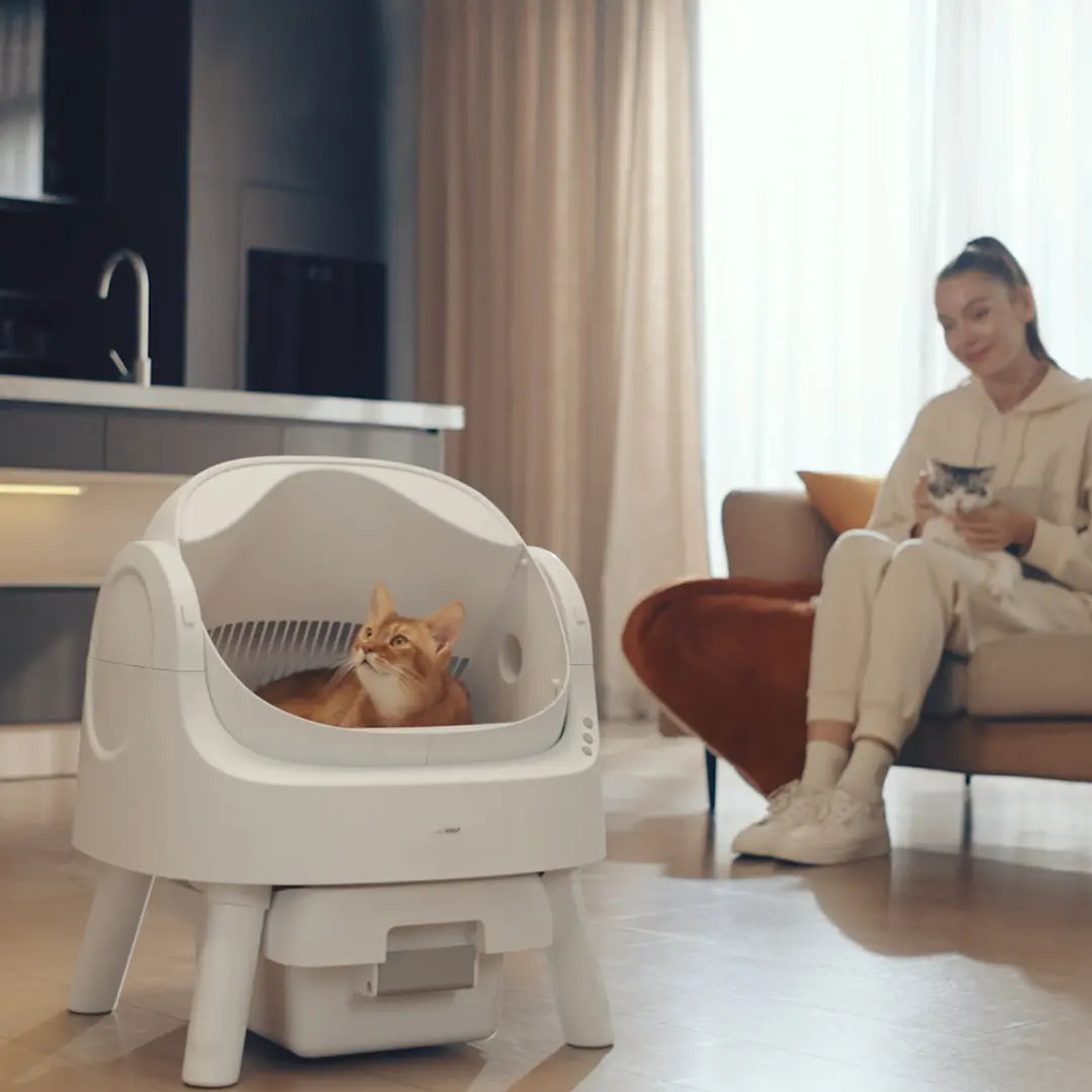 Petpivot Autoscooper 11 Open-Top Automatic Self-Cleaning Cat Litter Box, Limited-Time Extra 60 Waste Bags through July 2, 80 Total Bags