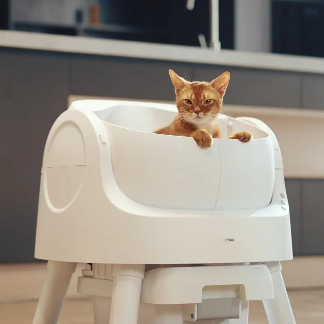 Petpivot Autoscooper 11 Open-Top Automatic Self-Cleaning Cat Litter Box, Limited-Time Extra 60 Waste Bags through July 2, 80 Total Bags